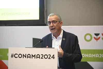 Francisco Boya Alós